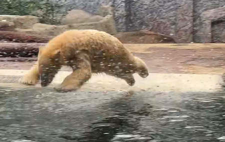 f�rd�z� medv�k